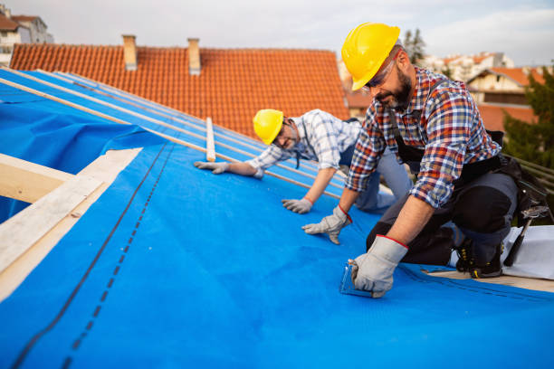 Roof Gutter Cleaning in Avocado Heights, CA